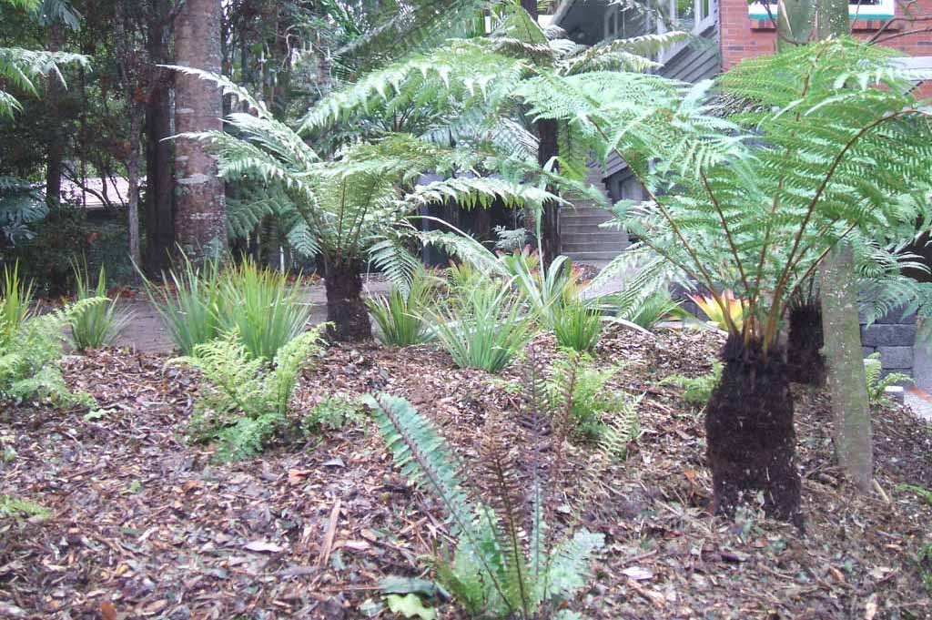 garden-maintenance-2